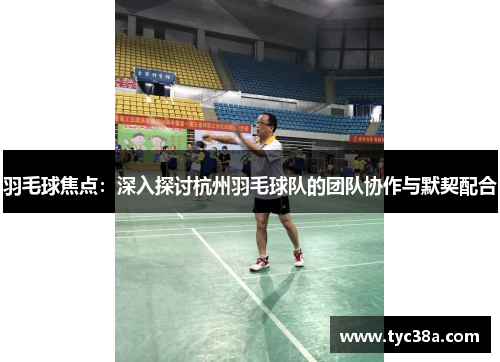 羽毛球焦点：深入探讨杭州羽毛球队的团队协作与默契配合