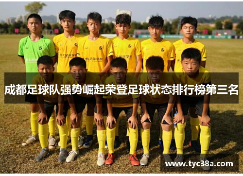 成都足球队强势崛起荣登足球状态排行榜第三名