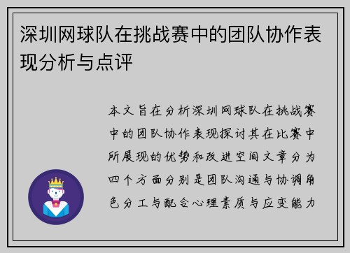 深圳网球队在挑战赛中的团队协作表现分析与点评